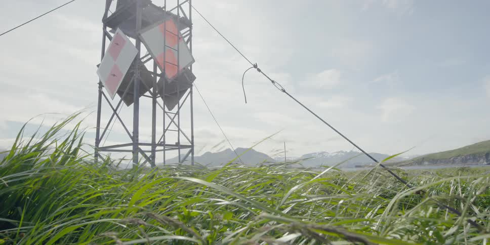 Wind blows through grass at the base of a tower