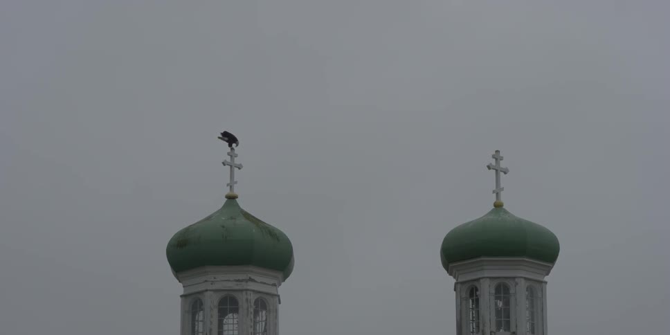 A bird perches on top of a steeple cross