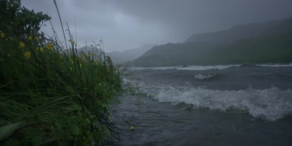 Waves lap at flowers on a shore on a stormy day