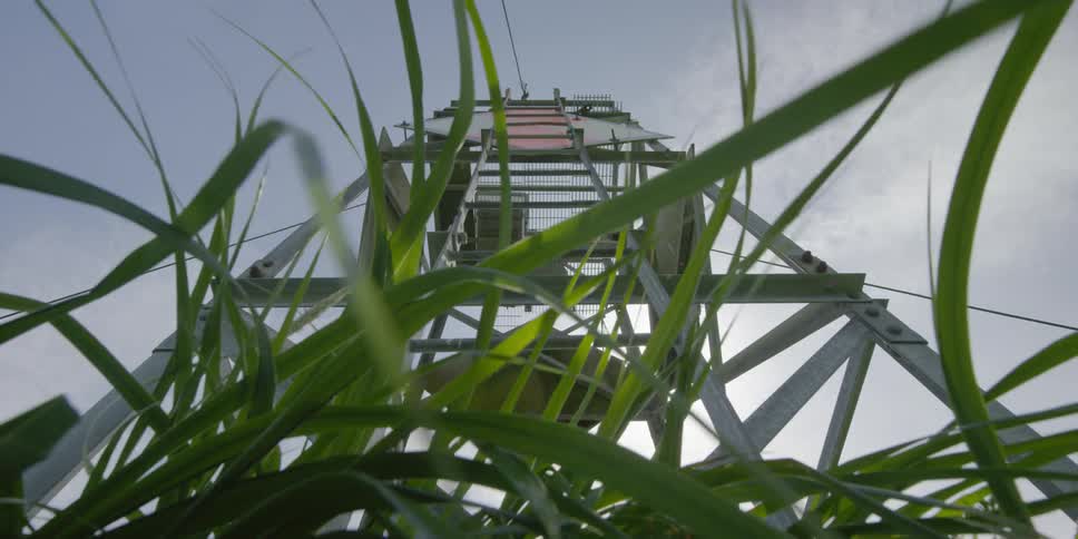 Wind blows through grass at the base of a tower