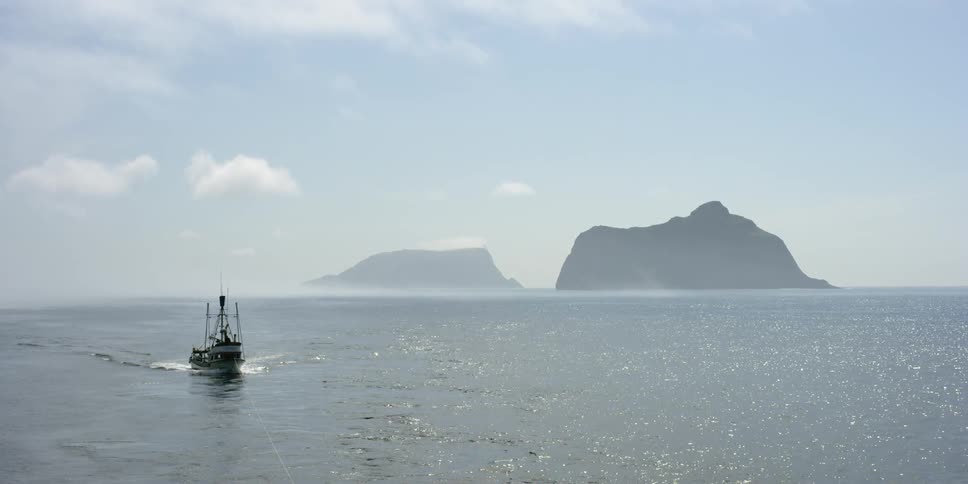 A boat travels on the water