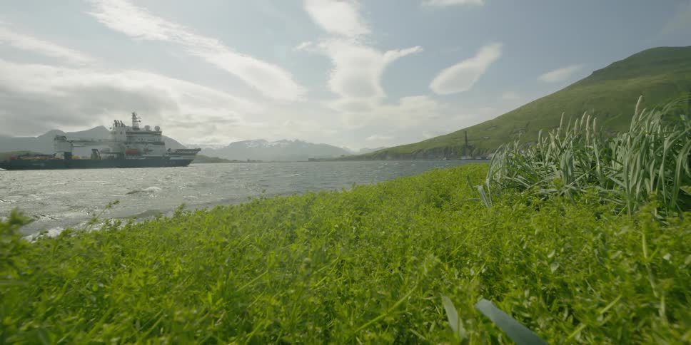The wind is blowing the grass near the shore