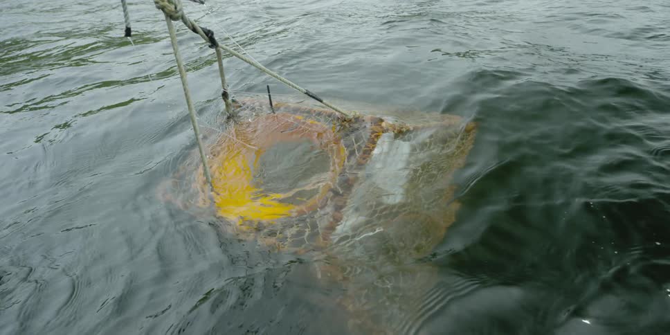 A boat is pulling the pot full of crab up