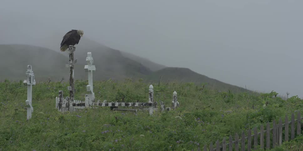An eagle is sitting atop a grave marker