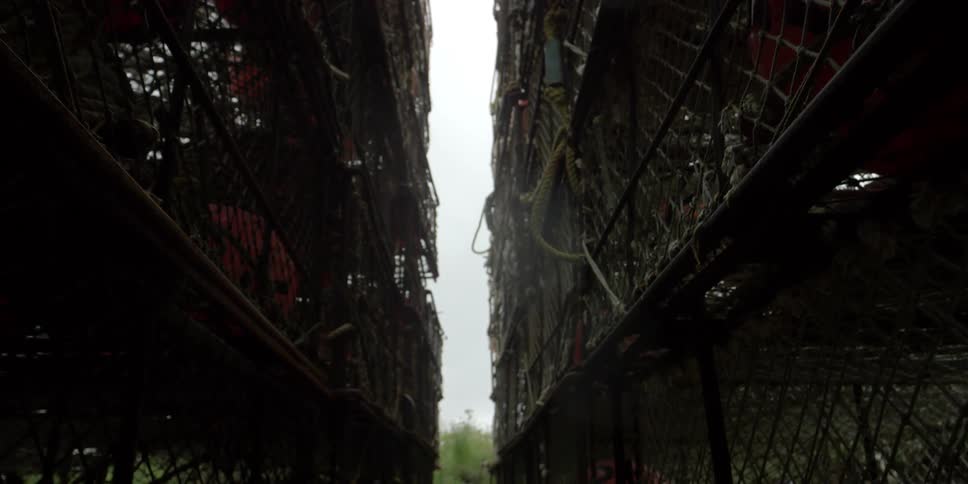 Crab pot alley