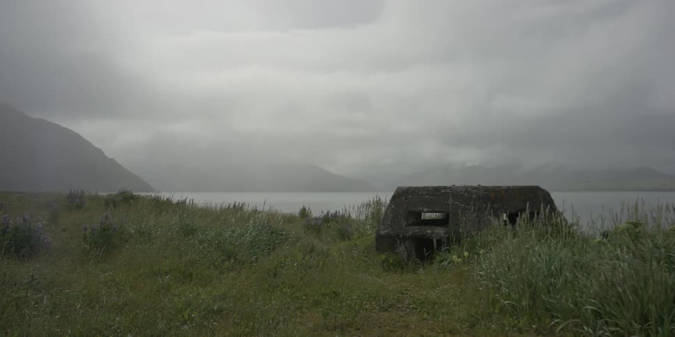 The wind blows the grass on shore on a cloudy day