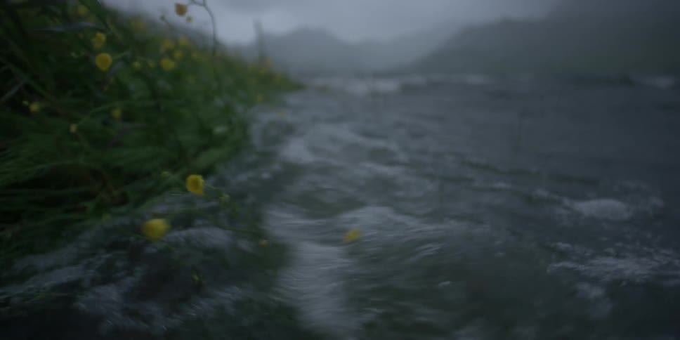 Waves roll over yellow flowers on a lake