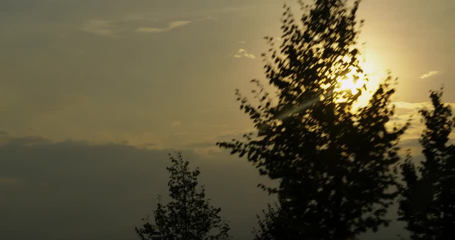 The setting sun is shining in a cloudy sky above trees