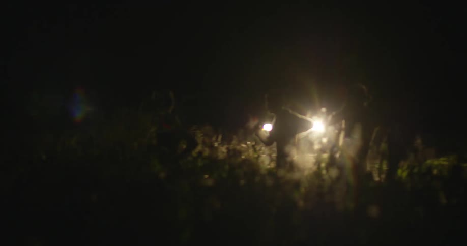 People run outside at night in tall grass illuminated by headlights