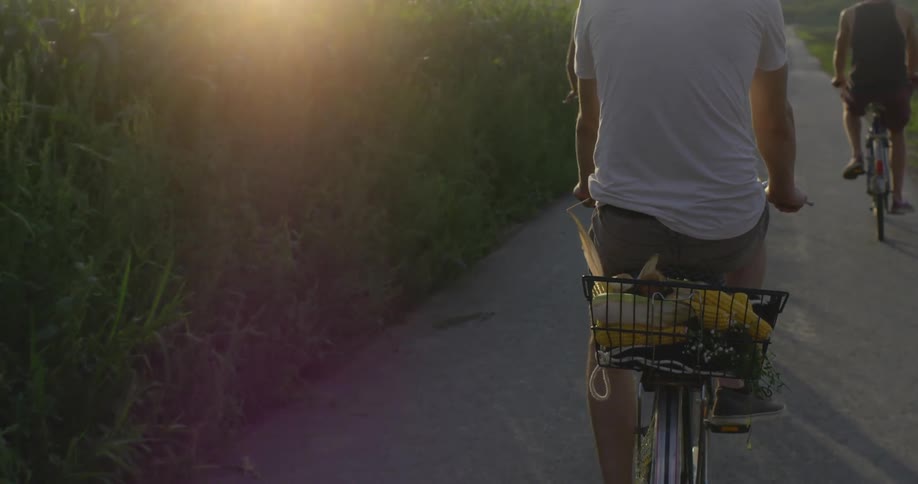 Boys ride their bikes on a path next to corn fields