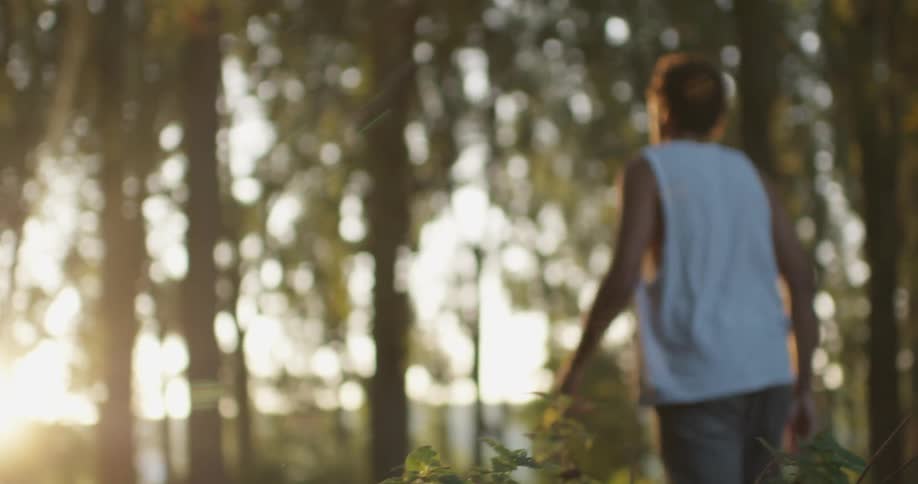 A man climbs over a fence in the woods