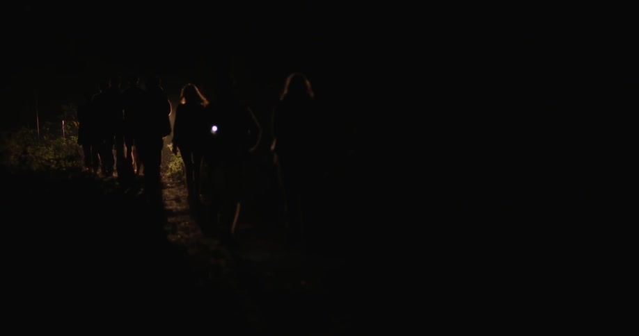A group of people walk outside at night