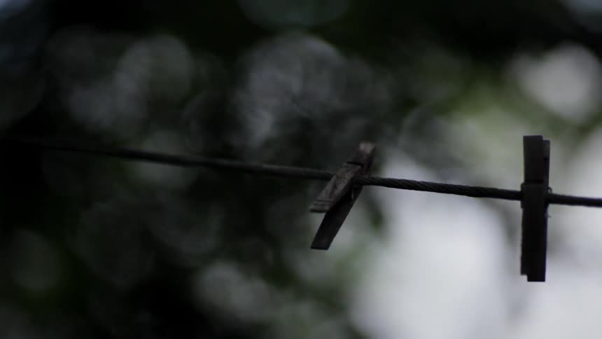 A clothes pin is clipped to a line