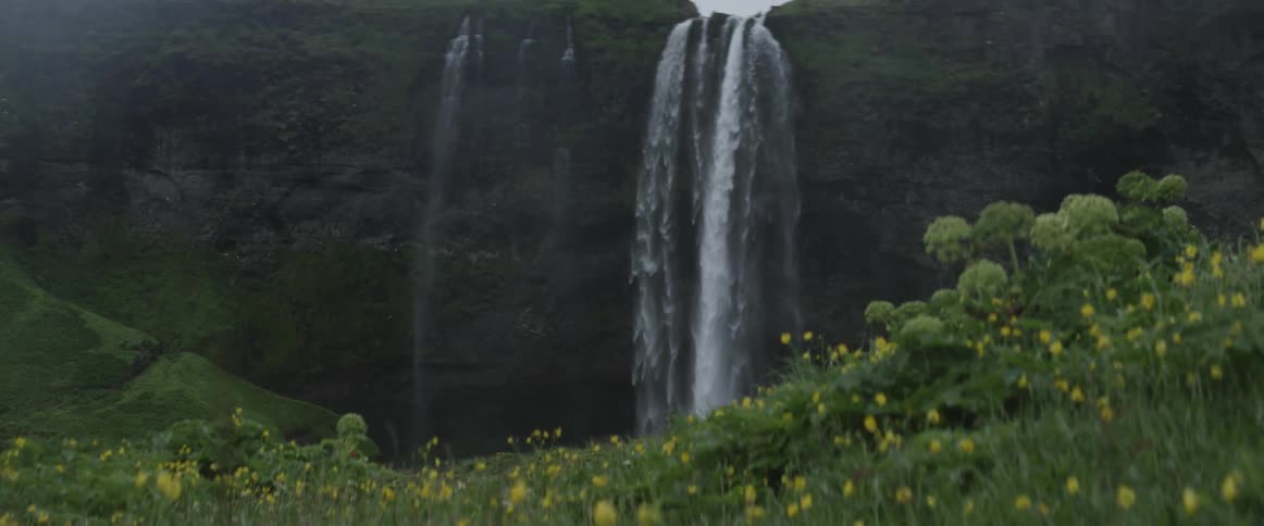 A waterfall flows over a cliff near a grassy field with flowers