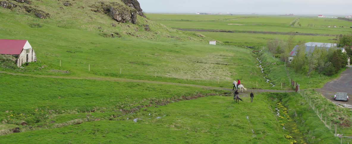 People walk beside horseback riders on a grassy slope