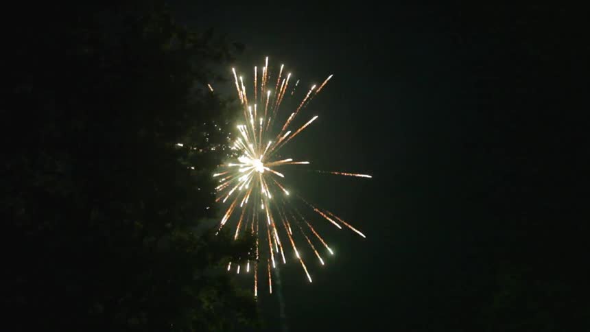Fireworks burst in the sky above the trees