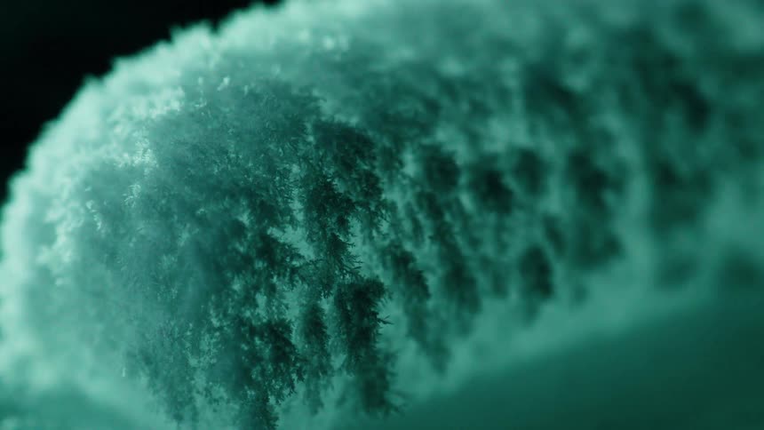 Crystals growing on icicles
