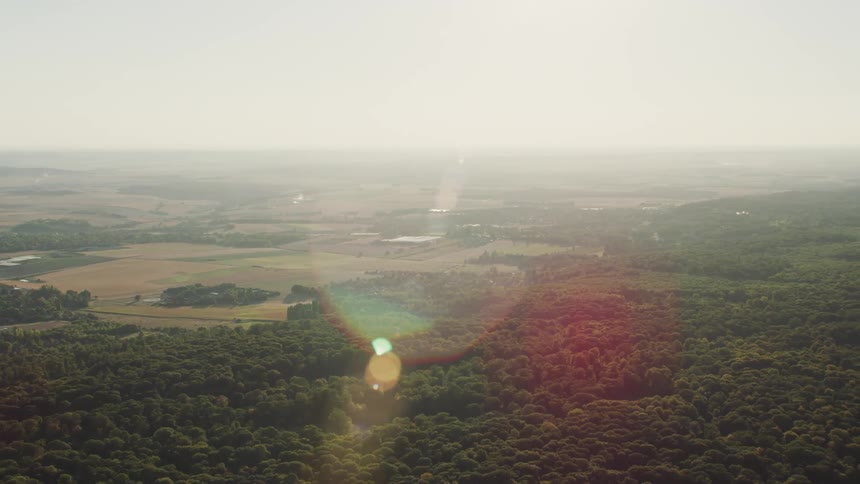 A dense forest opens up into a green pasture