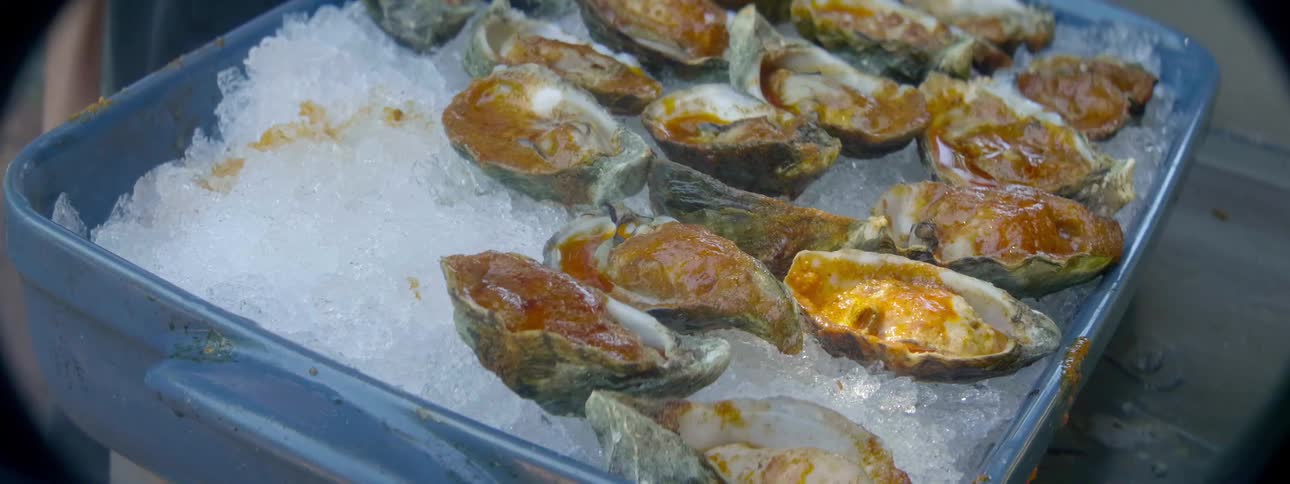Shelled oysters are placed in an ice tray