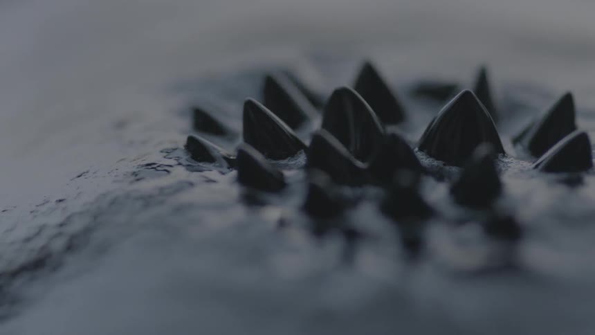 Black liquid ripples up into a spiked pattern
