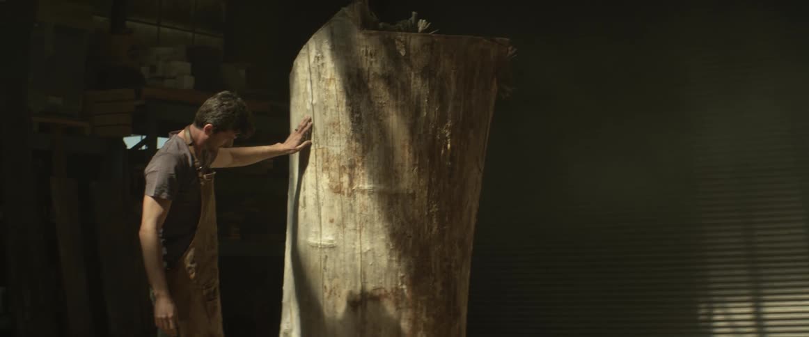 A carpenter is looking at a huge tree trunk