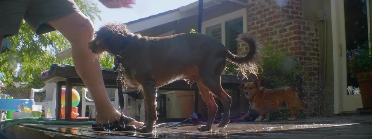 Man washes a dog on a back deck