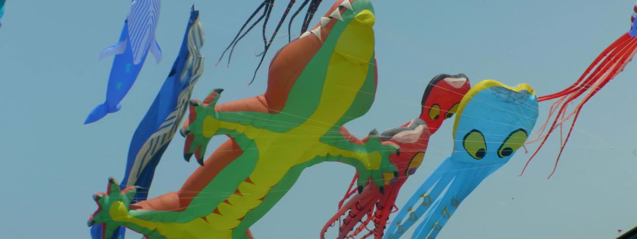 Kites are flying in a sunny sky on a windy day