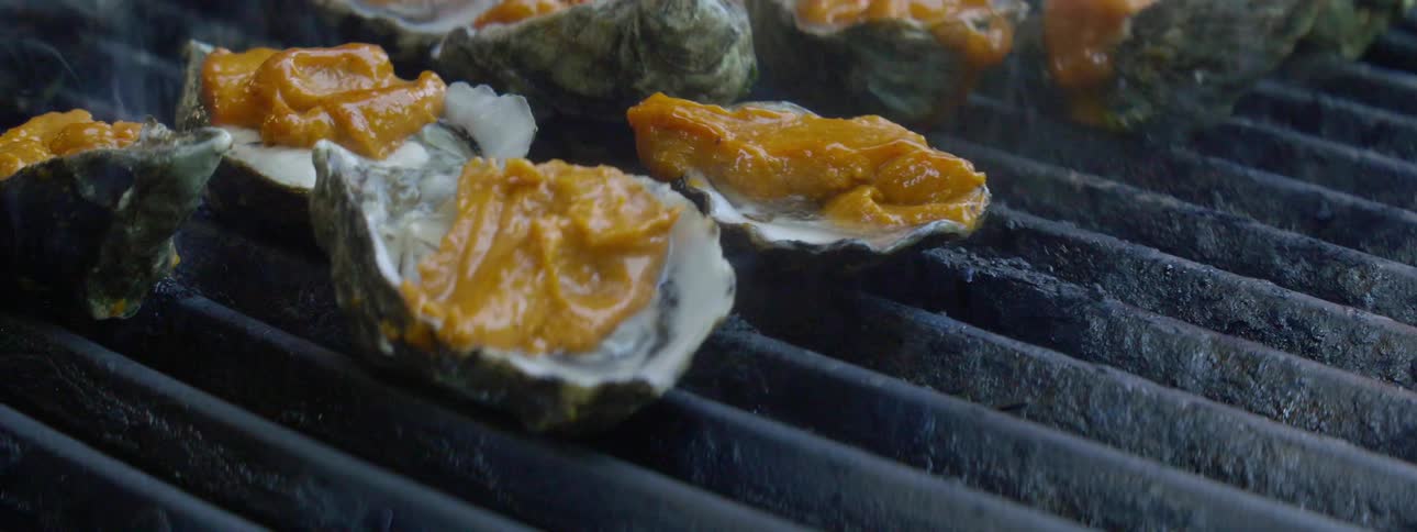 Oysters cook on a smoky grill