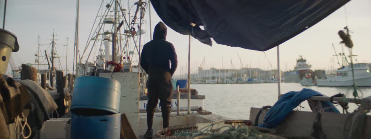 A man is standing on the dock looking at different fishing boats