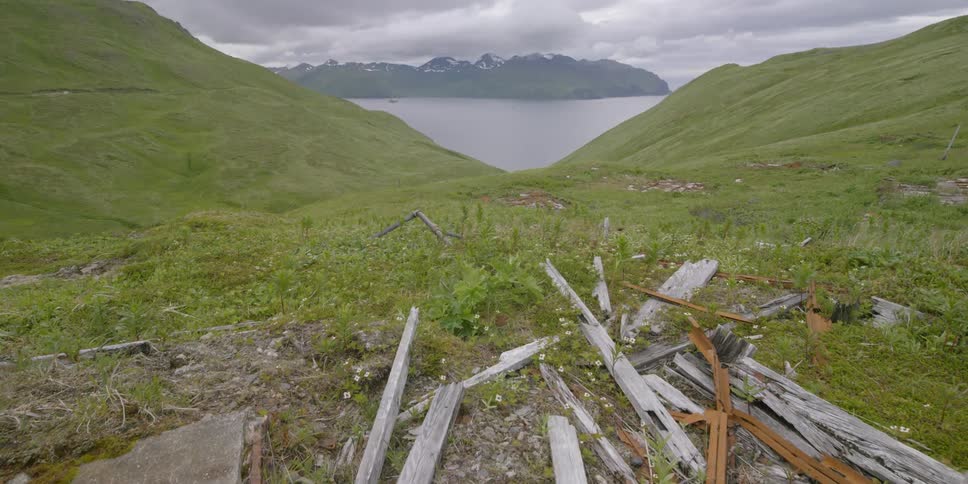 Lumber and planks are spread out on a grassy hill