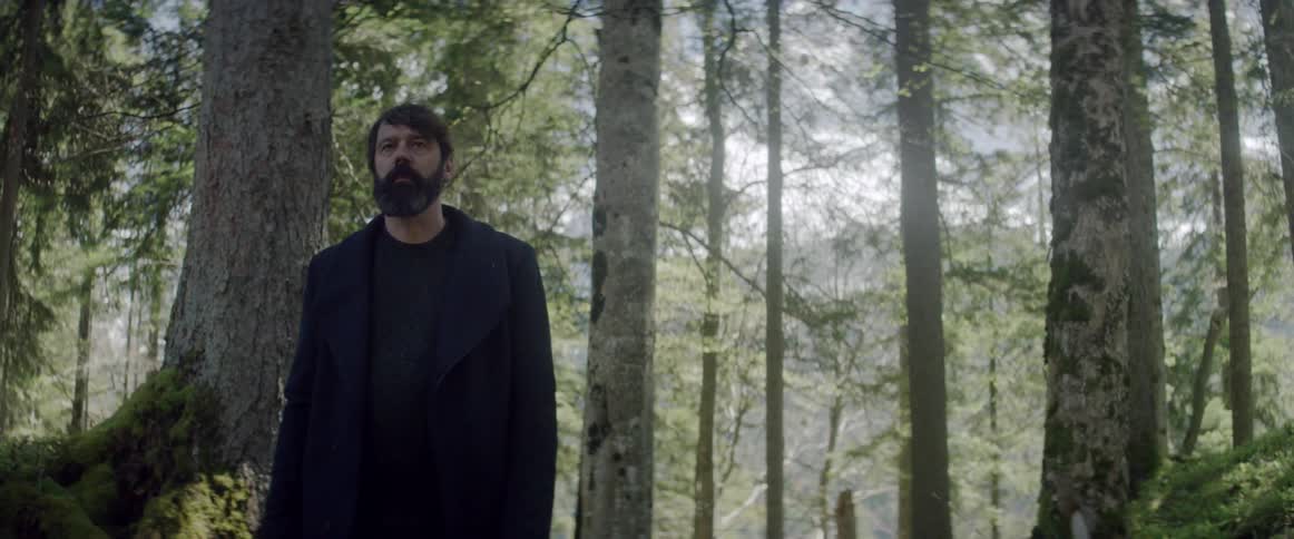 A man walks through the woods