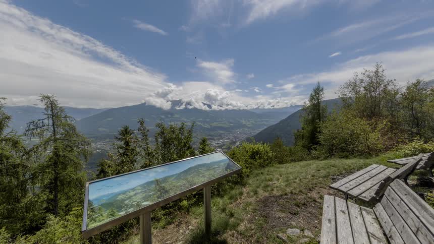 Trees and bushes sway in the breeze atop a mountain