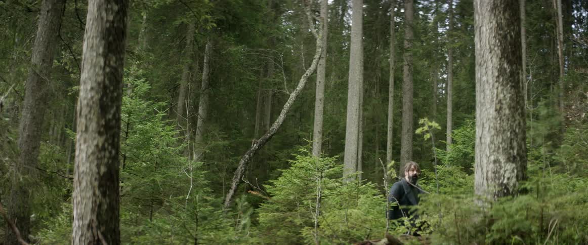 A man walks through the forest