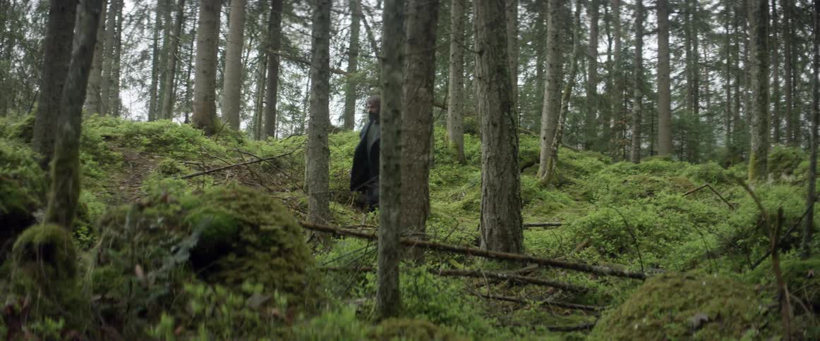 A man walks through the woods