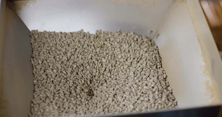 Beans are filtered down through a machine