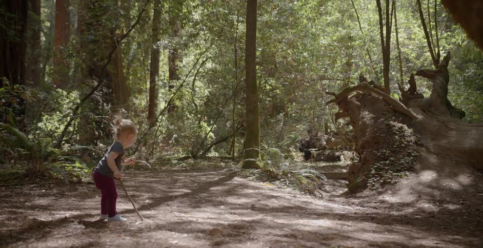 A small child is playing with sticks in the woods