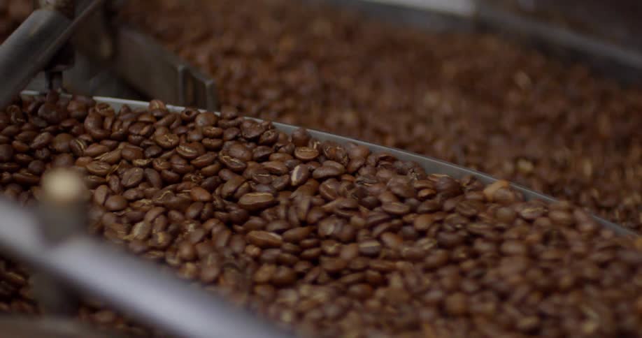 A sorting machine sifts through coffee beans