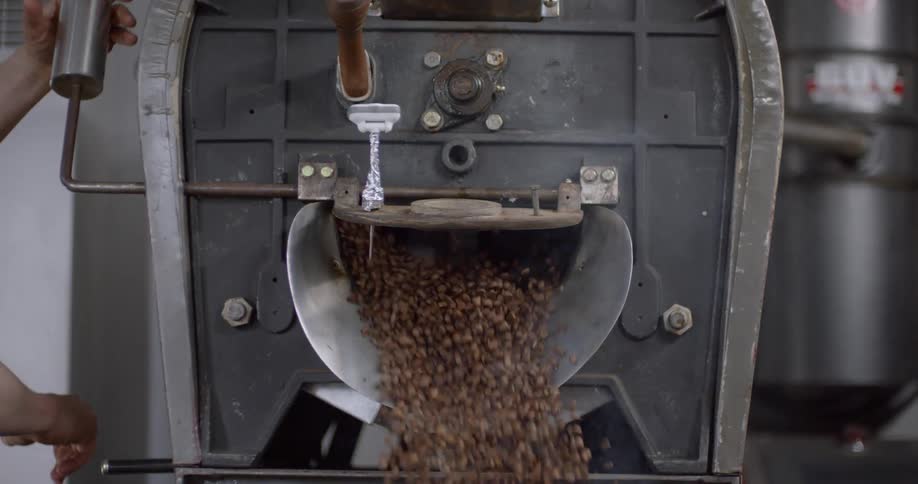 Steaming coffee beans pour from a machine