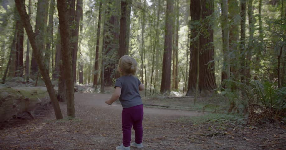 A toddler is walking through the forest on a dirt trail