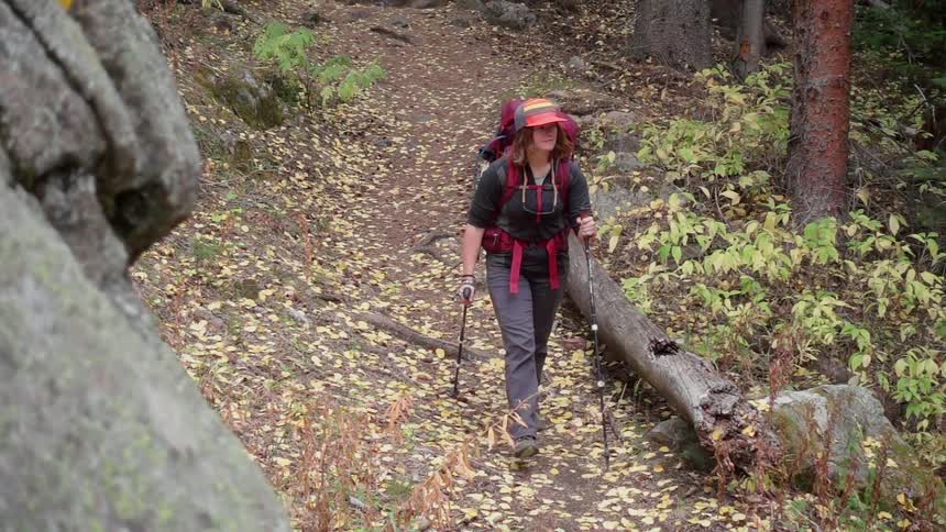 Someone with a backpack and two walking sticks is walking through the forest