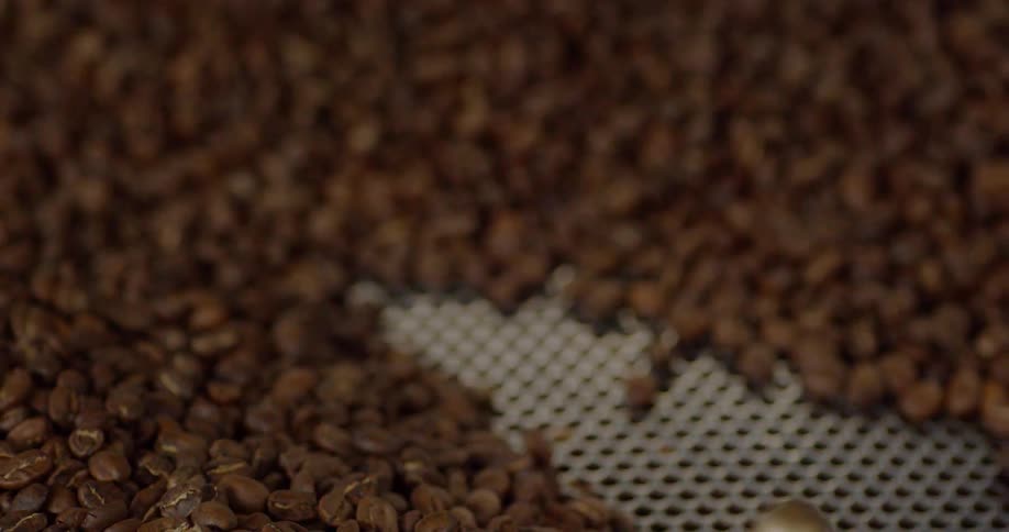Coffee beans spinning in a vat