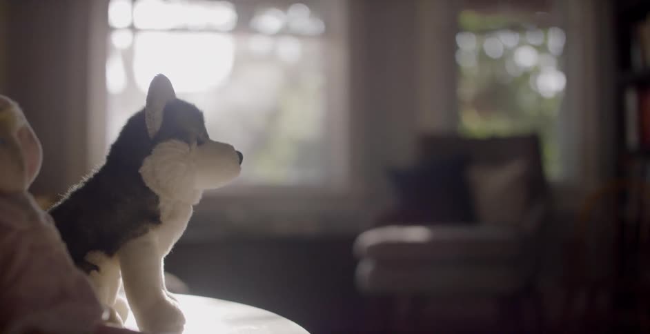 The stuffed animals are on the table