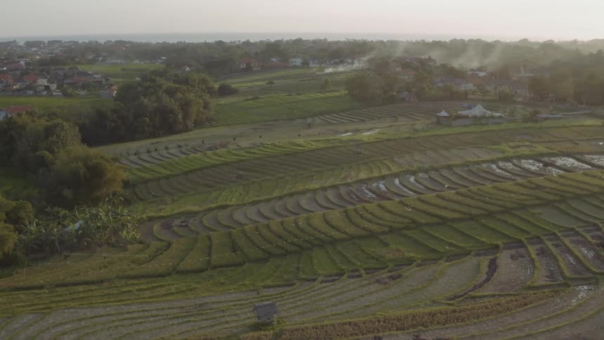 Rural fields are shown at sunset