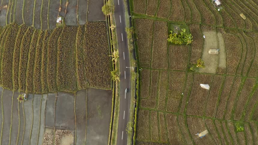 Cars travel on a road adjacent to farmland