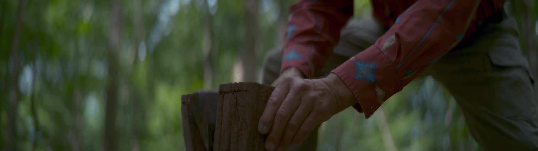 Someone is splitting wood with an axe