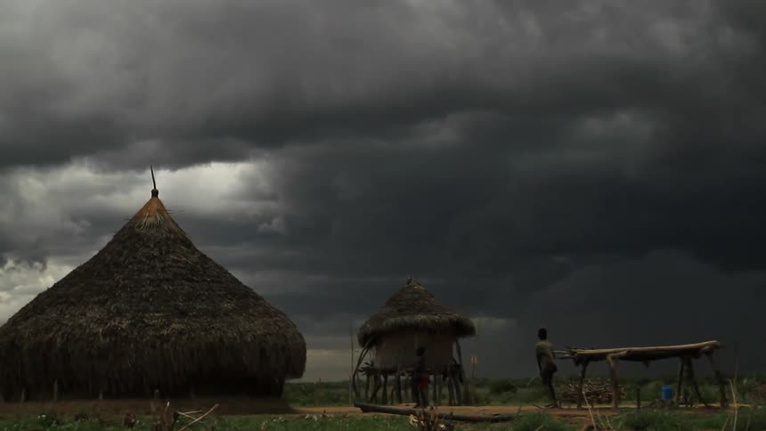 Huts on the edge of a beach