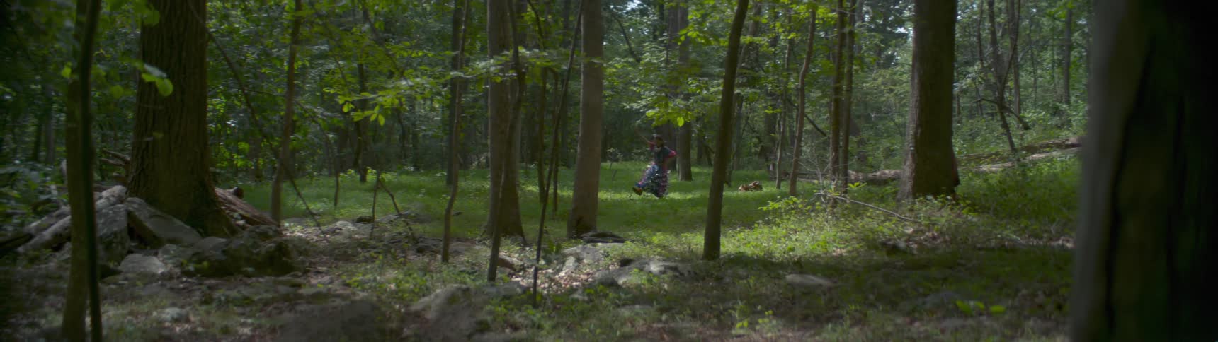 A native woman stands in a forest