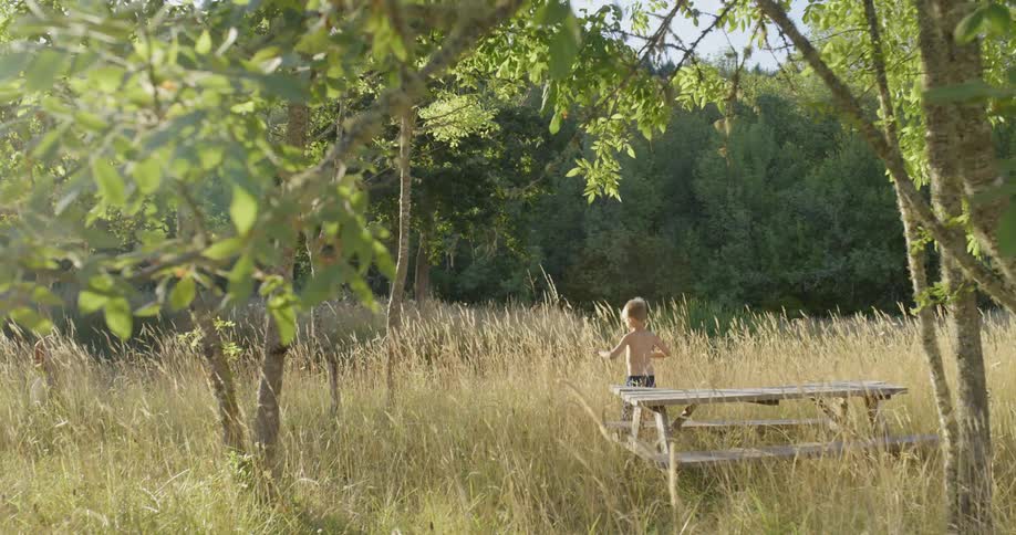 Boy climbs down from atop a picnic table then climbs up onto a tree stump