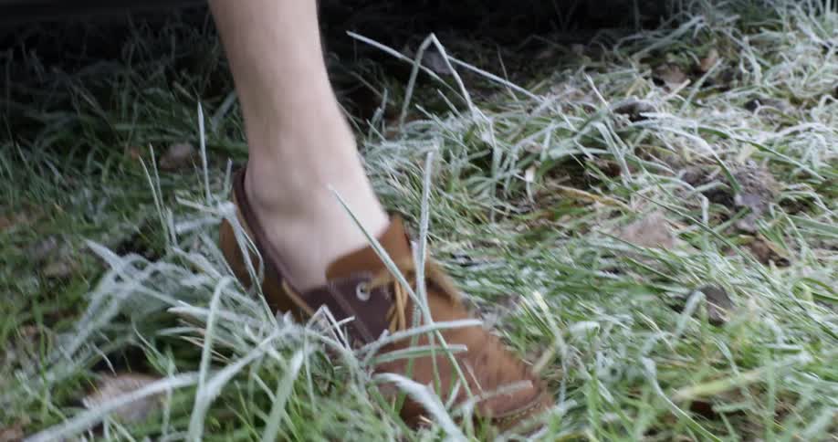 A man steps out of a van onto the grass
