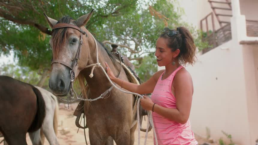 A woman pets a horse outside